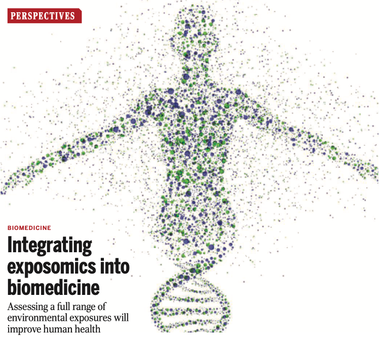 Exposome particle visualization